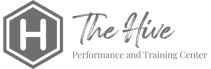 The Hive logo