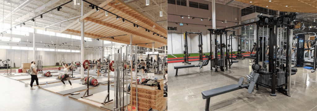 Evolve Strength squat racks