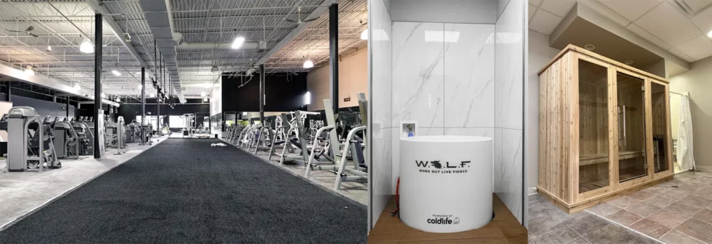 WOLF modern recovery features